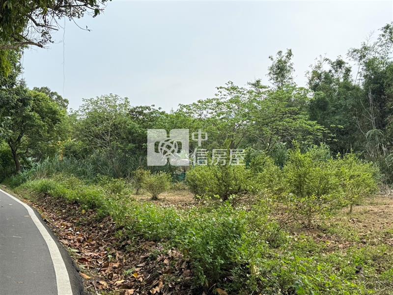 中庸路旁都內農地房屋室內格局與周邊環境