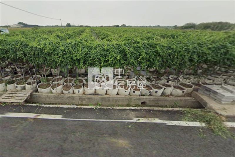 鹽水天保厝4.9分三角窗農地房屋室內格局與周邊環境