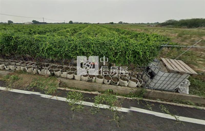 鹽水天保厝4.9分三角窗農地房屋室內格局與周邊環境