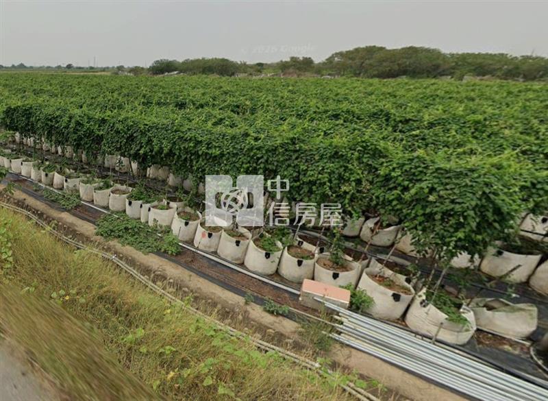 鹽水天保厝4.9分三角窗農地房屋室內格局與周邊環境