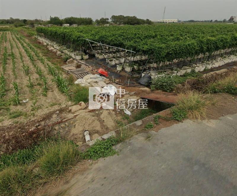 鹽水天保厝4.9分三角窗農地房屋室內格局與周邊環境