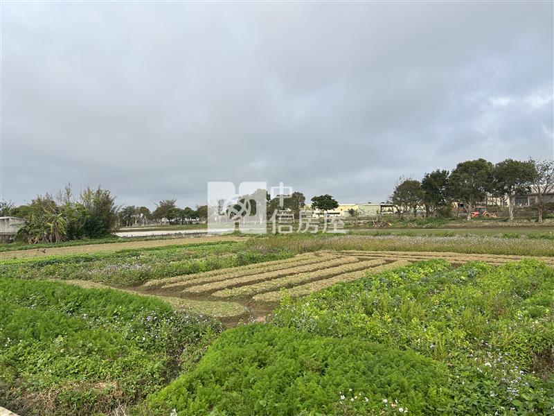 觀音富源臨道路美農地房屋室內格局與周邊環境