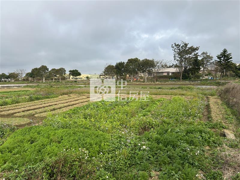 觀音富源臨道路美農地房屋室內格局與周邊環境