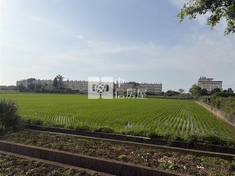 正楊湖路三段漂亮田房屋室內格局與周邊環境