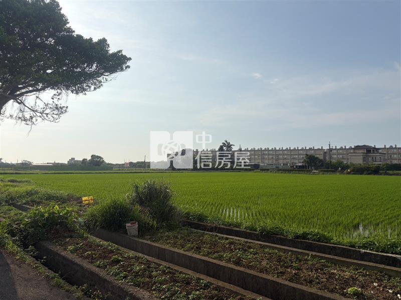 正楊湖路三段漂亮田房屋室內格局與周邊環境