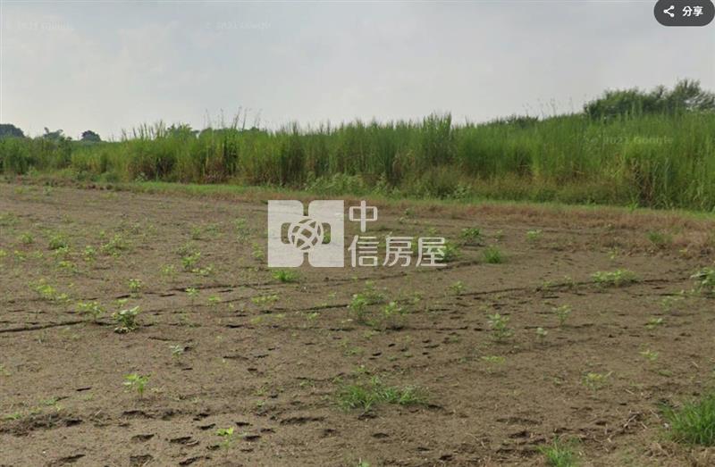 嘉義民雄平坦玉米農地房屋室內格局與周邊環境