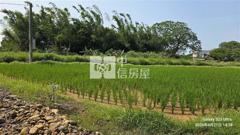 觀音忠愛段崙坪國小農地房屋室內格局與周邊環境