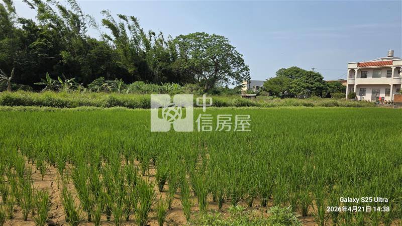 觀音忠愛段崙坪國小農地房屋室內格局與周邊環境