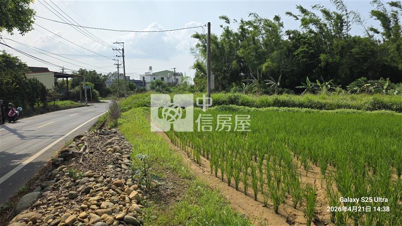 觀音忠愛段崙坪國小農地房屋室內格局與周邊環境