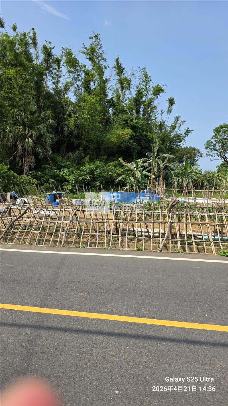 觀音忠愛段崙坪國小農地房屋室內格局與周邊環境