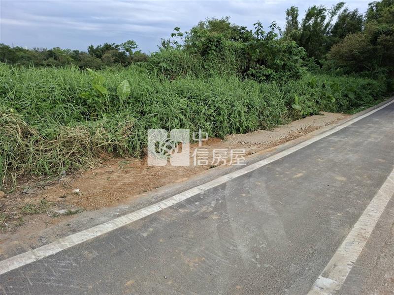 平鎮快速路旁一般農房屋室內格局與周邊環境