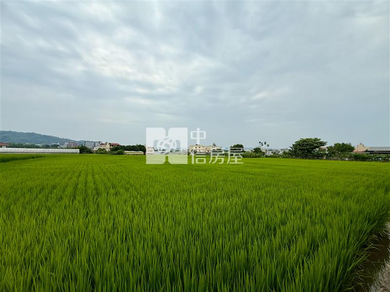 【安家】專任-臨登輝路都內方正農地房屋室內格局與周邊環境