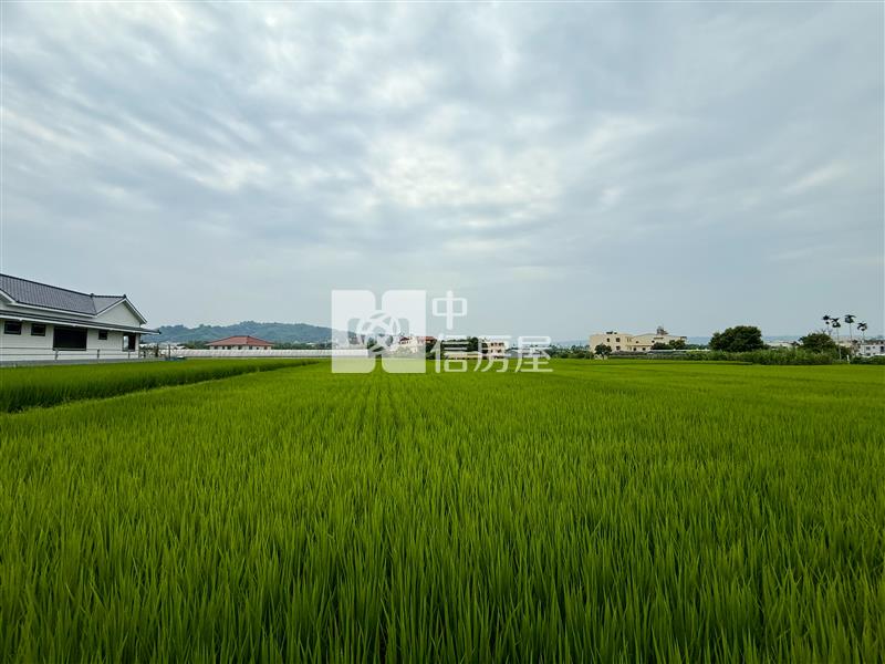 【安家】專任-臨登輝路都內方正農地房屋室內格局與周邊環境