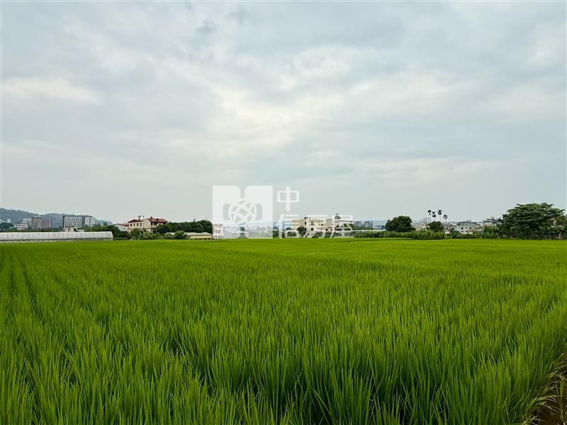 【安家】專任-臨登輝路都內方正農地房屋室內格局與周邊環境