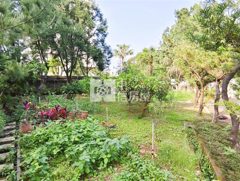 近青埔合法獨棟美農舍房屋室內格局與周邊環境