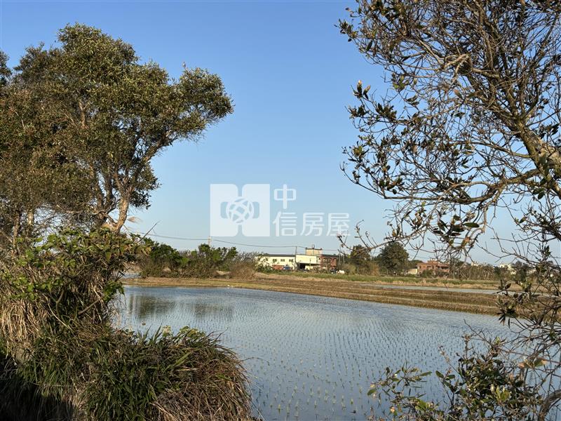 觀音大潭國小方正美農地(2)房屋室內格局與周邊環境