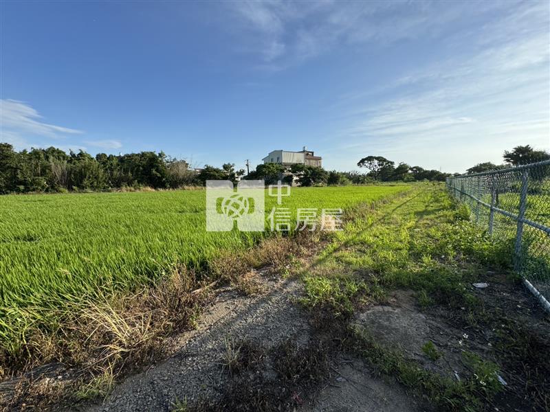 觀音茄苳坑段千坪農地(買地送屋)房屋室內格局與周邊環境