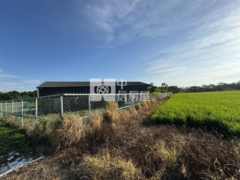 觀音茄苳坑段千坪農地(買地送屋)房屋室內格局與周邊環境