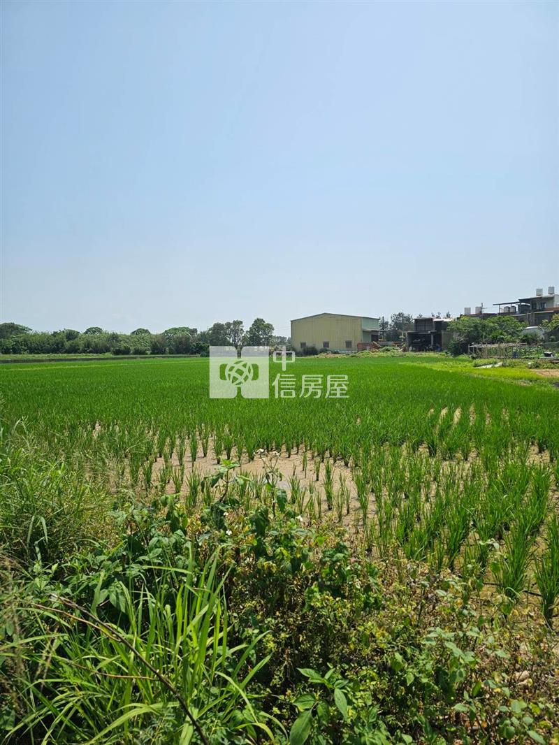 【奔馳】新屋近台15線笨港小學農地1063房屋室內格局與周邊環境