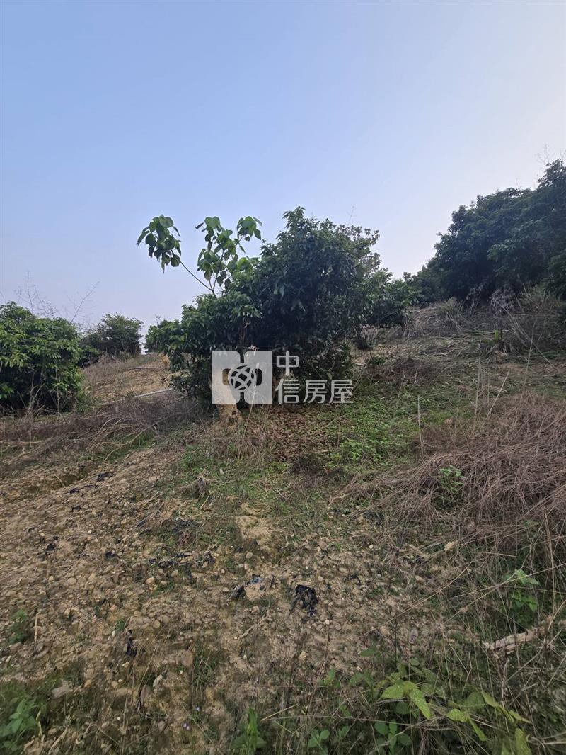 便宜休閒農地房屋室內格局與周邊環境