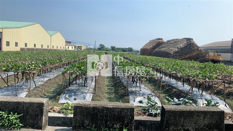 雲林縣莿桐鄉【六合國小】雙面臨路農地房屋室內格局與周邊環境