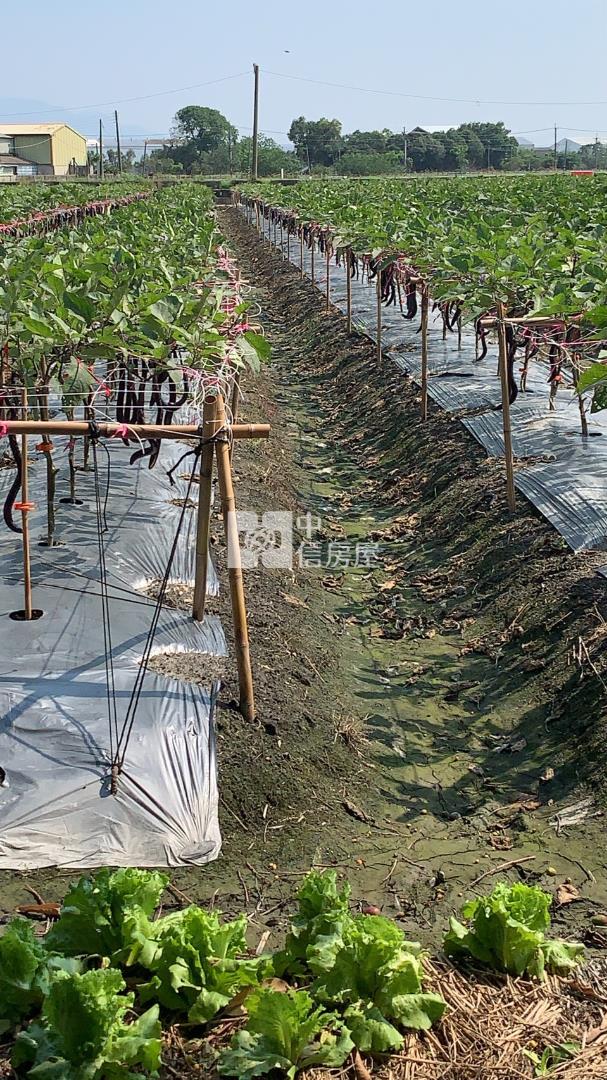 雲林縣莿桐鄉【六合國小】雙面臨路農地房屋室內格局與周邊環境