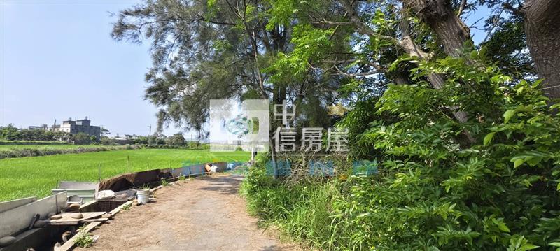 【新夢想】新豐新庄子買建地送房屋房屋室內格局與周邊環境