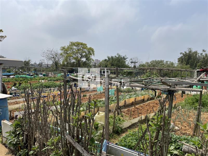 近體育園區都計內農地房屋室內格局與周邊環境