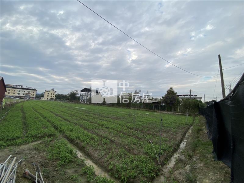 真巧園旁農地Ⅱ房屋室內格局與周邊環境