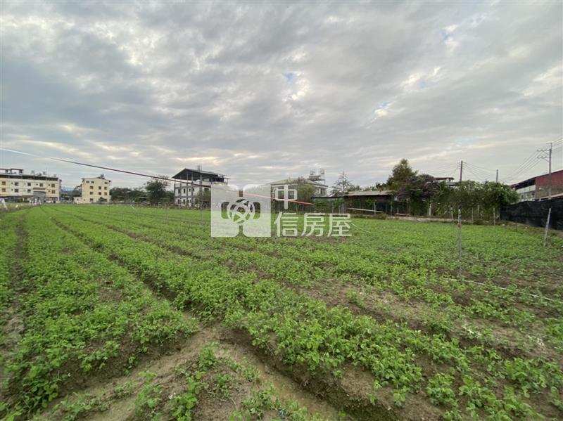 真巧園旁農地Ⅱ房屋室內格局與周邊環境