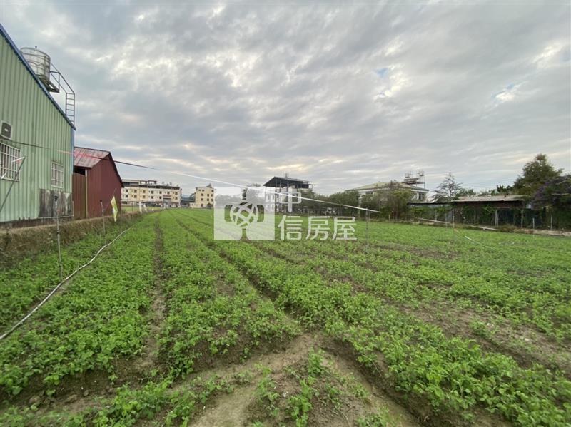 真巧園旁農地Ⅱ房屋室內格局與周邊環境