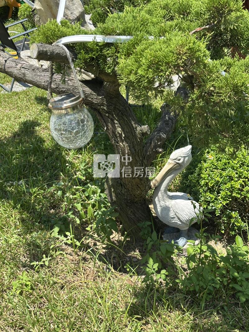 中壢內厝特農房屋室內格局與周邊環境