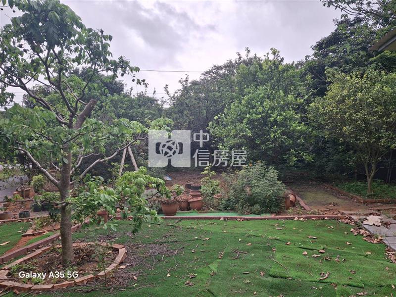 【安家】專任-平鎮復旦中學平坦大面寬漂亮農地房屋室內格局與周邊環境