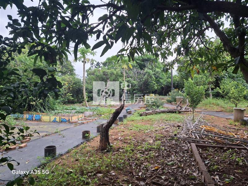 【安家】專任-平鎮復旦中學平坦大面寬漂亮農地房屋室內格局與周邊環境