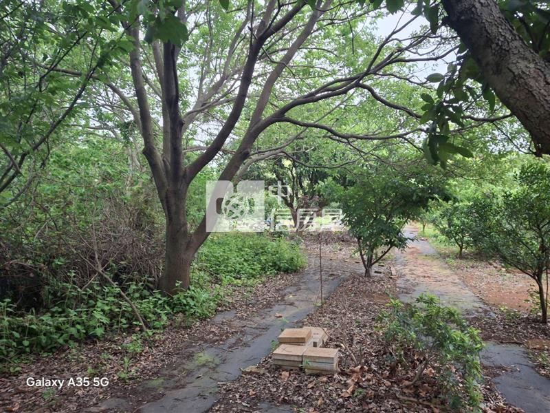 【安家】專任-平鎮復旦中學平坦大面寬漂亮農地房屋室內格局與周邊環境