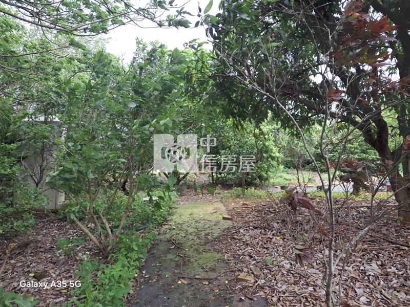 【安家】專任-平鎮復旦中學平坦大面寬漂亮農地房屋室內格局與周邊環境