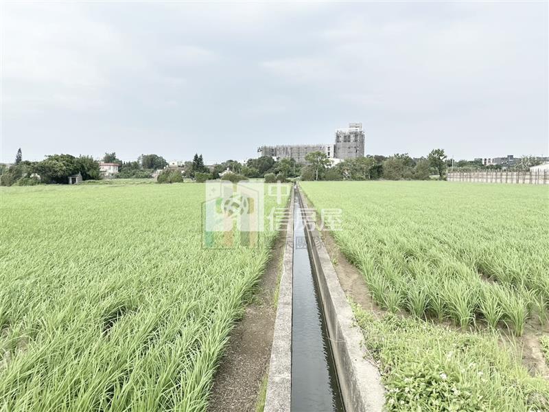 【豐禾】專-新湖路旁面寬方正美田房屋室內格局與周邊環境