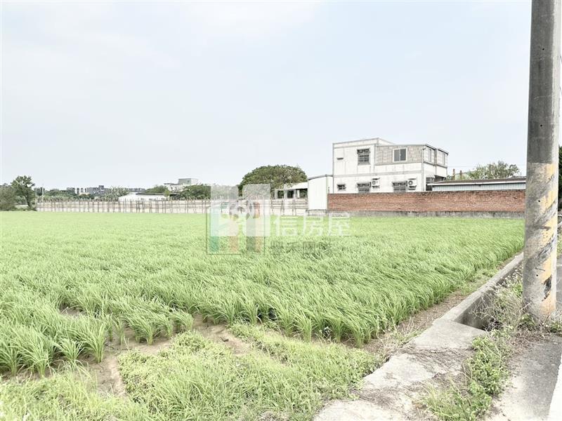 【豐禾】專-新湖路旁面寬方正美田房屋室內格局與周邊環境