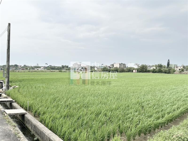 【豐禾】專-新湖路旁面寬方正美田房屋室內格局與周邊環境