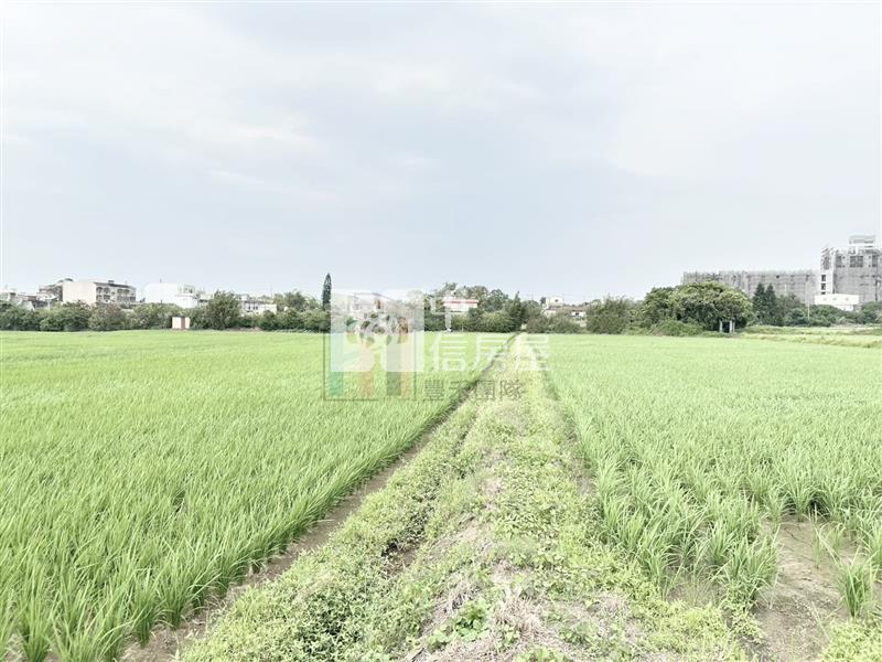 【豐禾】專-新湖路旁面寬方正美田房屋室內格局與周邊環境