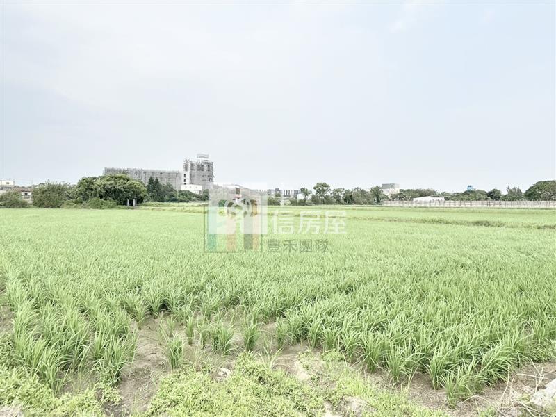 【豐禾】專-新湖路旁面寬方正美田房屋室內格局與周邊環境