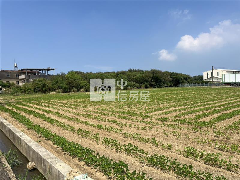 新屋全新合法漂亮資材室美農地房屋室內格局與周邊環境