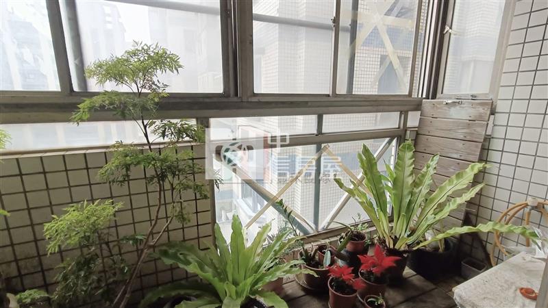 【豐禾】海華商圈大坪數景觀四房車房屋室內格局與周邊環境