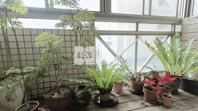 【豐禾】海華商圈大坪數景觀四房車房屋室內格局與周邊環境