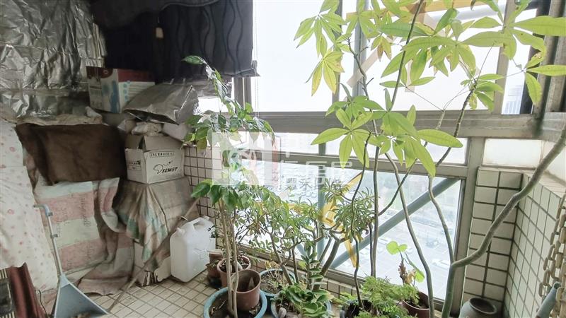 【豐禾】海華商圈大坪數景觀四房車房屋室內格局與周邊環境