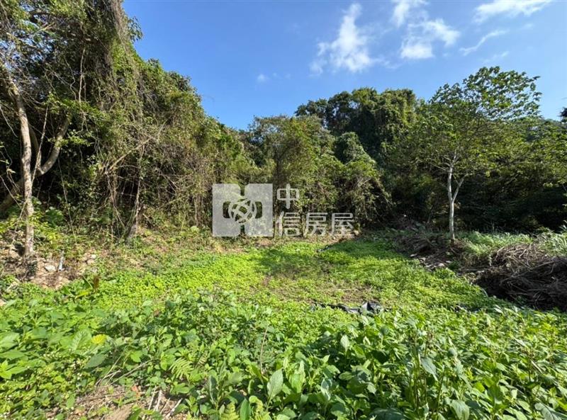 關西臨路漂亮農地房屋室內格局與周邊環境