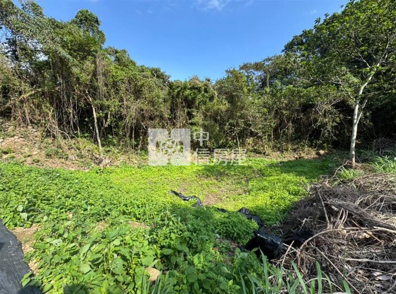 關西臨路漂亮農地房屋室內格局與周邊環境