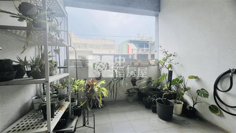 鑫聖中信-龍潭光明路美透天房屋室內格局與周邊環境