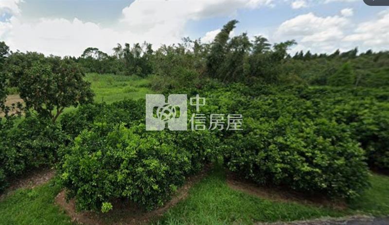 雲林斗南超低總價農地房屋室內格局與周邊環境