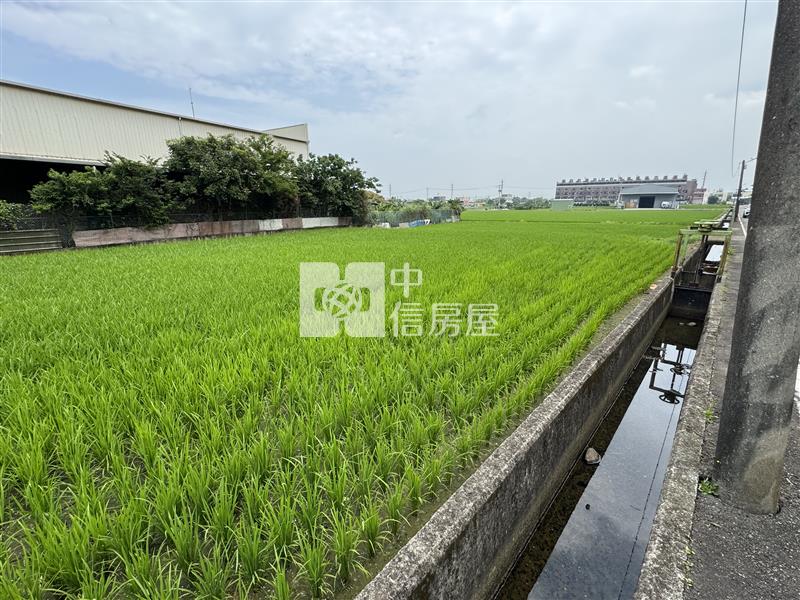 大江七米路大面寬都計田房屋室內格局與周邊環境